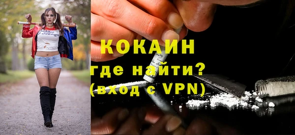 гидра Богородск