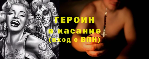 гидра Богородск