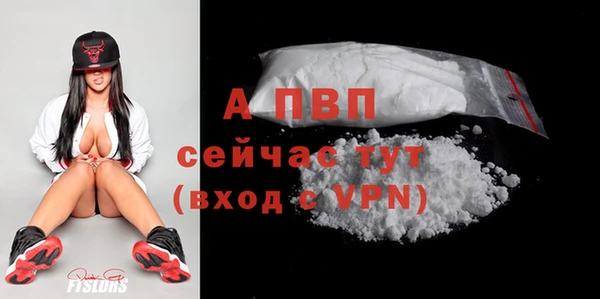 ECSTASY Богородицк