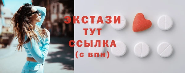 ECSTASY Богородицк