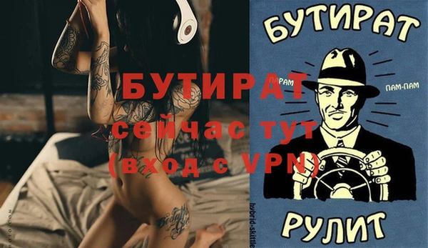 гидра Богородск