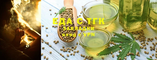 гидра Богородск