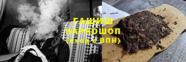 гидра Богородск