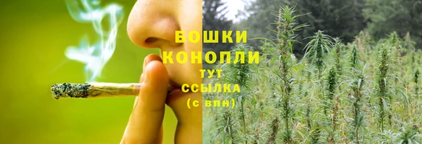 гидра Богородск