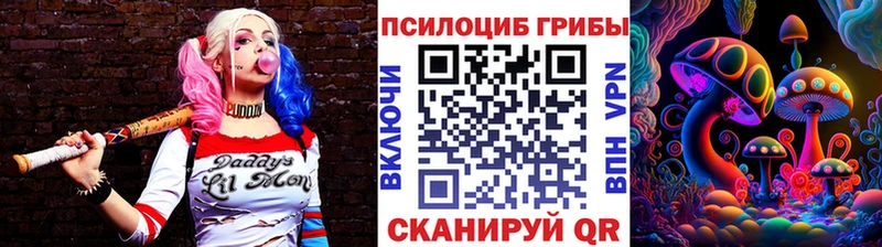 Купить  Жирновск  Галлюциногенные грибы MAGIC MUSHROOMS 