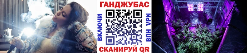 Конопля сатива  Купить  Жирновск 